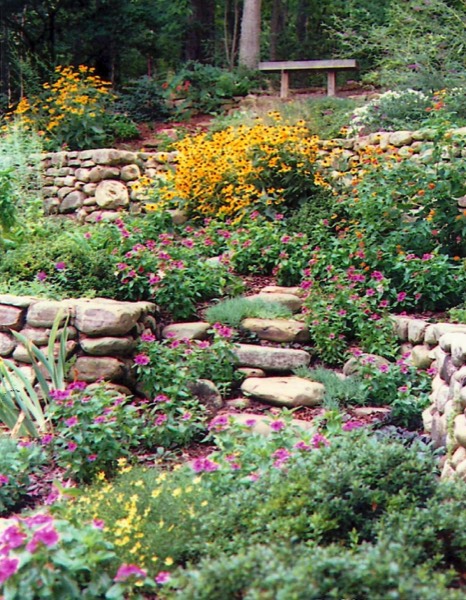 Dry Hillside Perennials